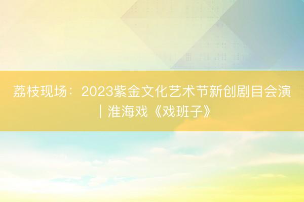 荔枝现场：2023紫金文化艺术节新创剧目会演｜淮海戏《戏班子》