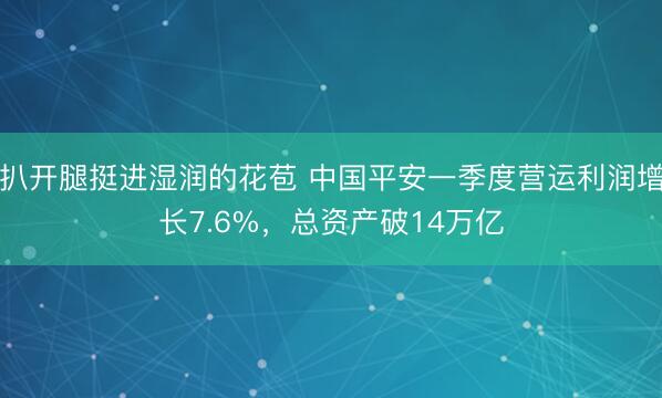 扒开腿挺进湿润的花苞 中国平安一季度营运利润增长7.6%，总资产破14万亿
