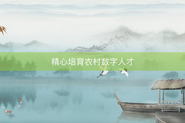 精心培育农村数字人才