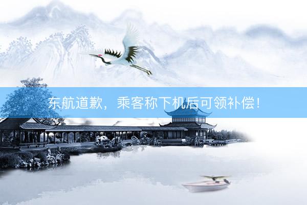 东航道歉，乘客称下机后可领补偿！