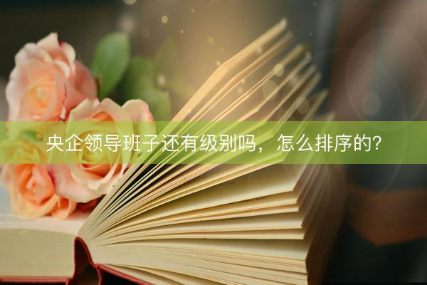 央企领导班子还有级别吗，怎么排序的？
