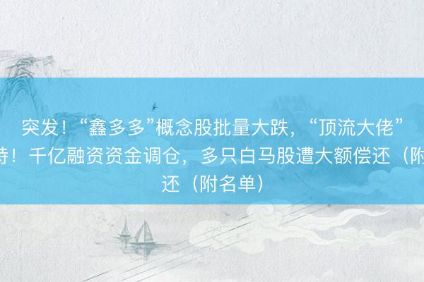突发！“鑫多多”概念股批量大跌，“顶流大佬”已减持！千亿融资资金调仓，多只白马股遭大额偿还（附名单）