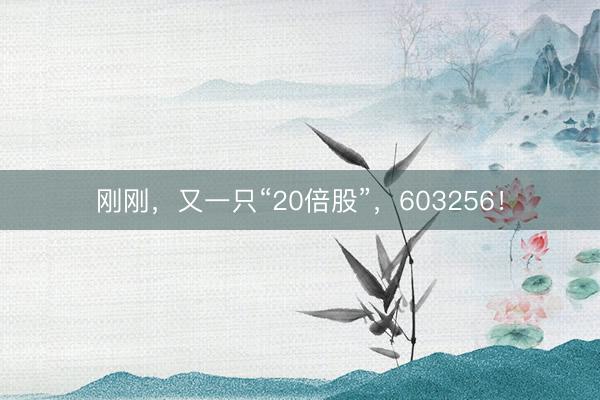 刚刚，又一只“20倍股”，603256！