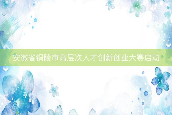 安徽省铜陵市高层次人才创新创业大赛启动