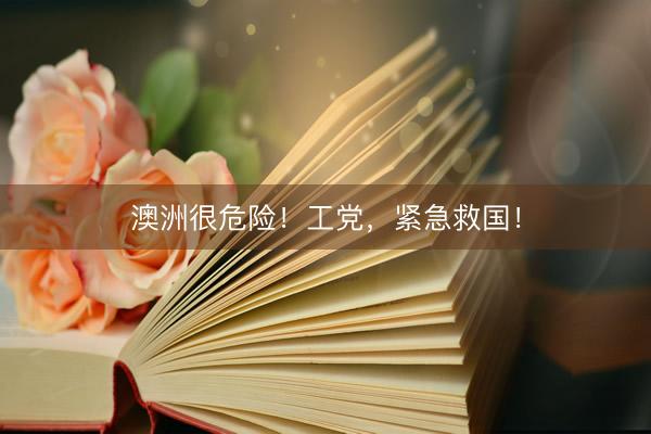 澳洲很危险！工党，紧急救国！