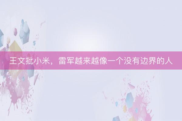 王文批小米，雷军越来越像一个没有边界的人