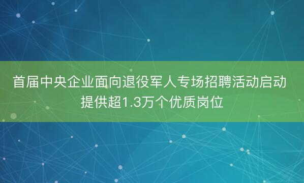 首届中央企业面向退役军人专场招聘活动启动 提供超1.3万个优质岗位