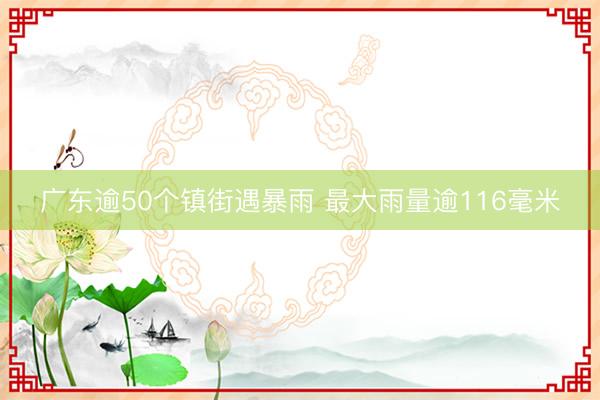 广东逾50个镇街遇暴雨 最大雨量逾116毫米