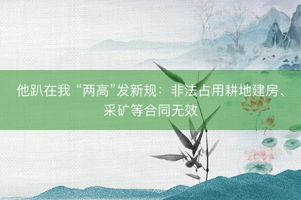 他趴在我 “两高”发新规：非法占用耕地建房、采矿等合同无效