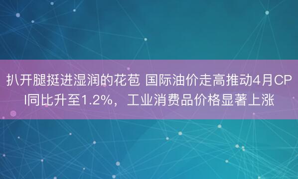 扒开腿挺进湿润的花苞 国际油价走高推动4月CPI同比升至1.2%，工业消费品价格显著上涨