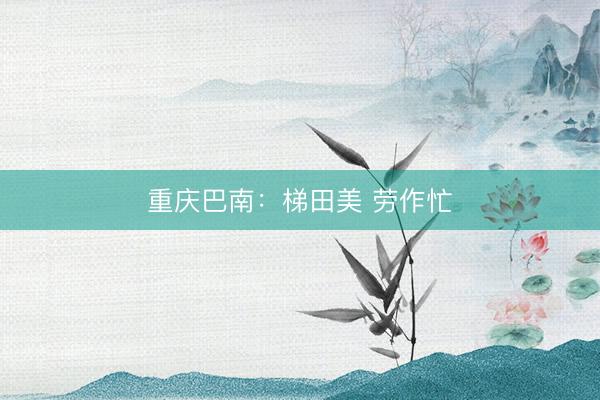 重庆巴南：梯田美 劳作忙