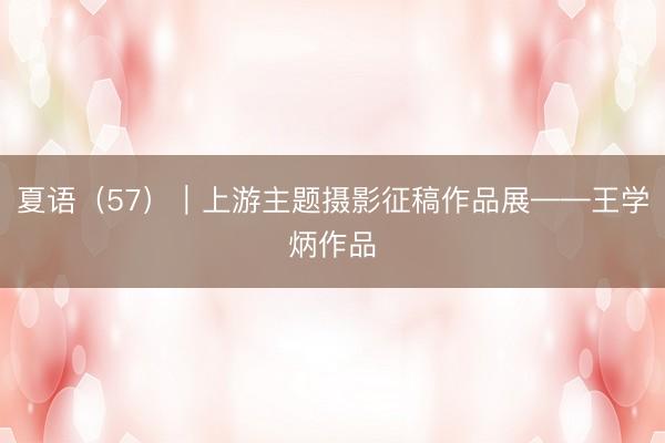 夏语（57）｜上游主题摄影征稿作品展——王学炳作品