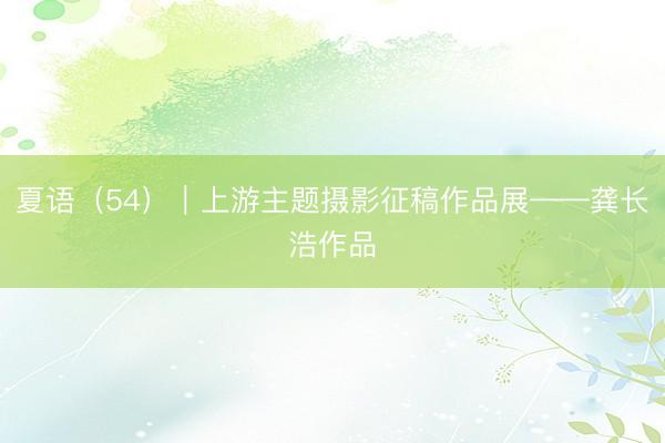 夏语（54）｜上游主题摄影征稿作品展——龚长浩作品