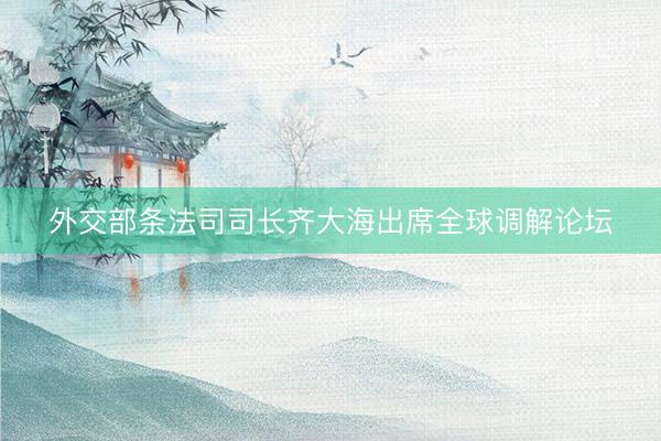 外交部条法司司长齐大海出席全球调解论坛