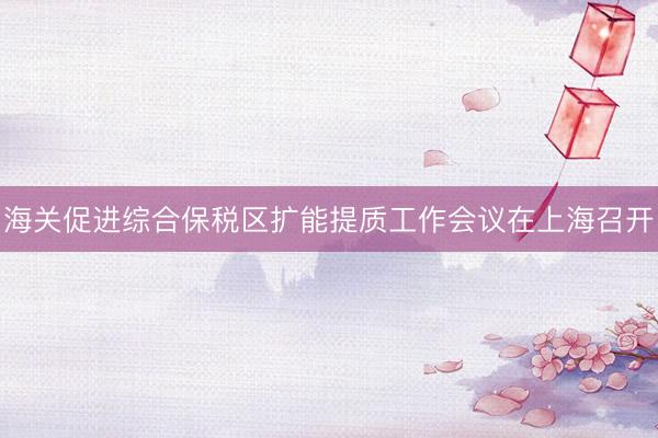 海关促进综合保税区扩能提质工作会议在上海召开