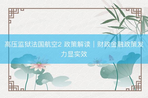 高压监狱法国航空2 政策解读｜财政金融政策发力显实效