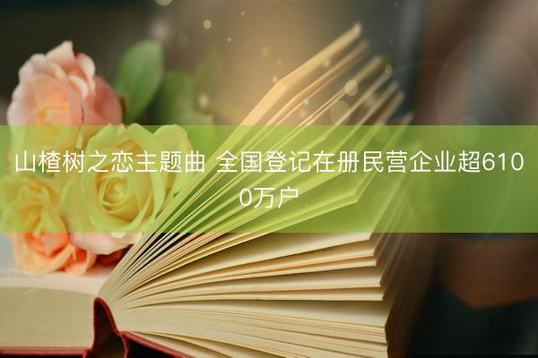 山楂树之恋主题曲 全国登记在册民营企业超6100万户