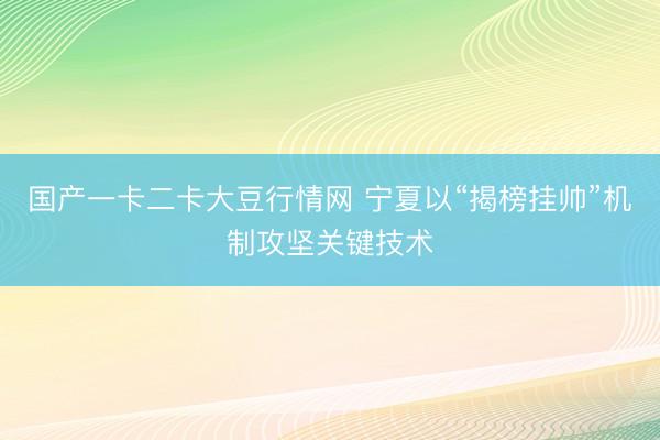 国产一卡二卡大豆行情网 宁夏以“揭榜挂帅”机制攻坚关键技术