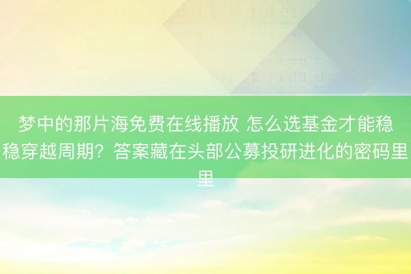 梦中的那片海免费在线播放 怎么选基金才能稳稳穿越周期？答案藏在头部公募投研进化的密码里