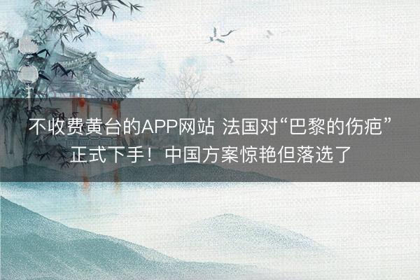 不收费黄台的APP网站 法国对“巴黎的伤疤”正式下手！中国方案惊艳但落选了