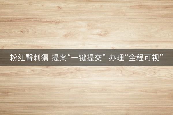 粉红臀刺猬 提案“一键提交” 办理“全程可视”