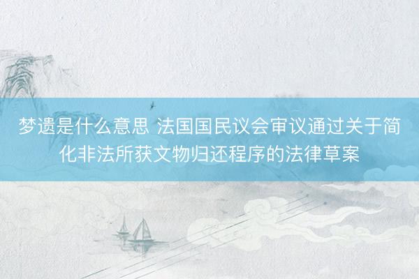 梦遗是什么意思 法国国民议会审议通过关于简化非法所获文物归还程序的法律草案