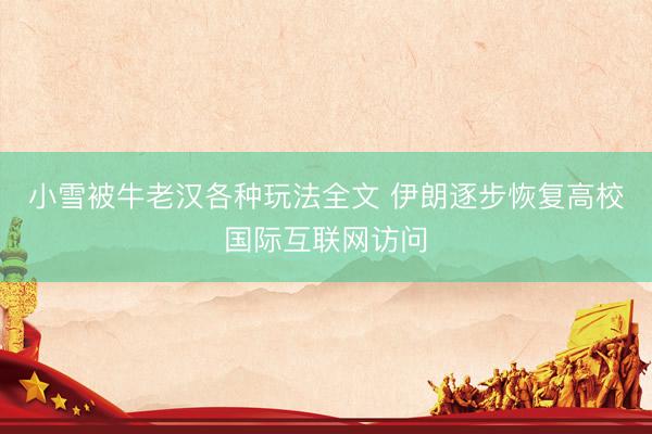 小雪被牛老汉各种玩法全文 伊朗逐步恢复高校国际互联网访问