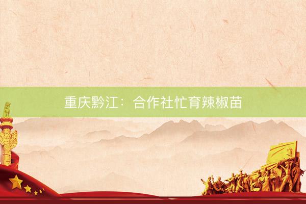 重庆黔江：合作社忙育辣椒苗