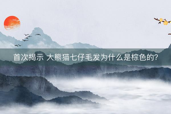 首次揭示 大熊猫七仔毛发为什么是棕色的？