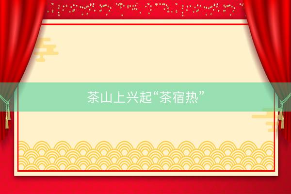 茶山上兴起“茶宿热”