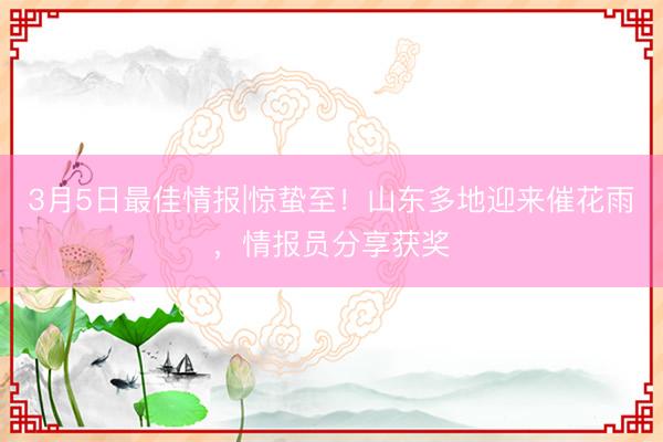 3月5日最佳情报|惊蛰至！山东多地迎来催花雨，情报员分享获奖