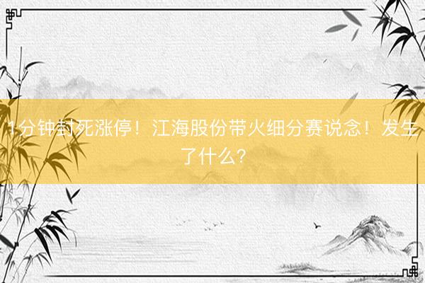 1分钟封死涨停！江海股份带火细分赛说念！发生了什么？