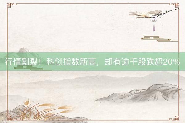 行情割裂！科创指数新高，却有逾千股跌超20%