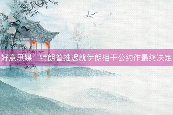 好意思媒：特朗普推迟就伊朗相干公约作最终决定