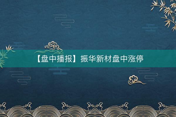 【盘中播报】振华新材盘中涨停