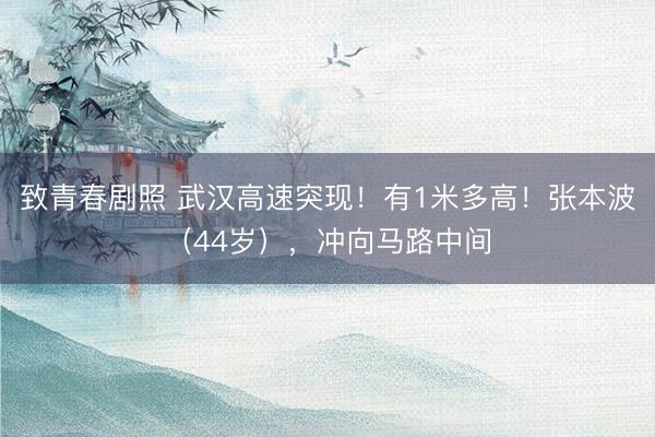 致青春剧照 武汉高速突现！有1米多高！张本波（44岁），冲向马路中间