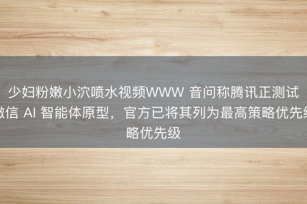 少妇粉嫩小泬喷水视频WWW 音问称腾讯正测试微信 AI 智能体原型，官方已将其列为最高策略优先级