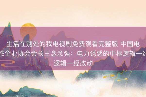 生活在别处的我电视剧免费观看完整版 中国电力诱惑企业协会会长王念念强：电力诱惑的中枢逻辑一经改动