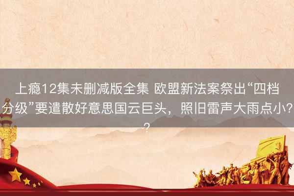 上瘾12集未删减版全集 欧盟新法案祭出“四档分级”要遣散好意思国云巨头，照旧雷声大雨点小？
