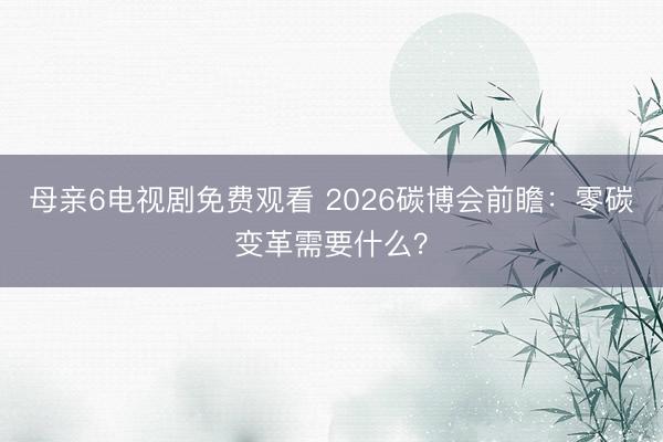 母亲6电视剧免费观看 2026碳博会前瞻：零碳变革需要什么？