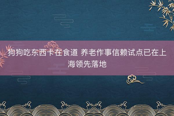 狗狗吃东西卡在食道 养老作事信赖试点已在上海领先落地