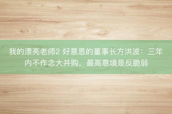 我的漂亮老师2 好意思的董事长方洪波：三年内不作念大并购，最高意境是反脆弱