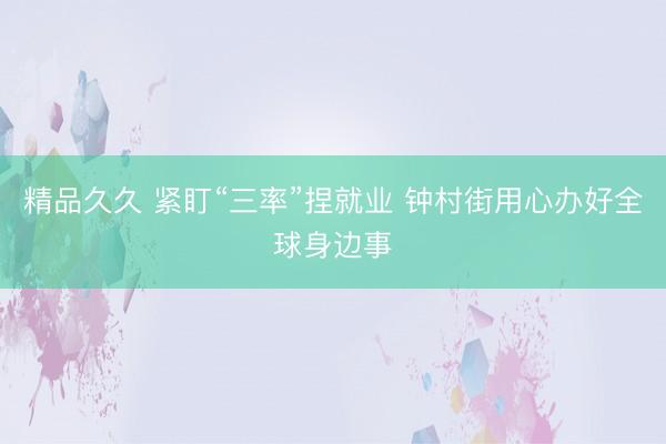 精品久久 紧盯“三率”捏就业 钟村街用心办好全球身边事