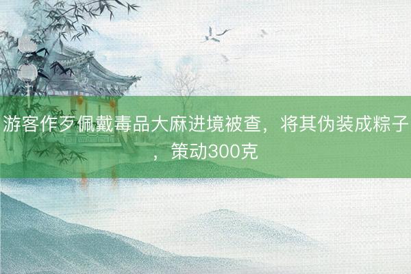 游客作歹佩戴毒品大麻进境被查，将其伪装成粽子，策动300克