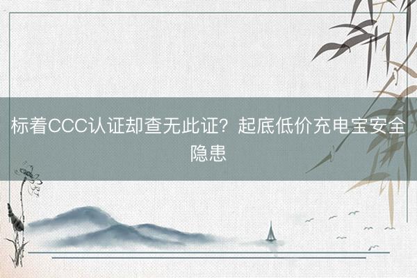 标着CCC认证却查无此证？起底低价充电宝安全隐患