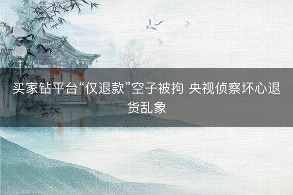 买家钻平台“仅退款”空子被拘 央视侦察坏心退货乱象