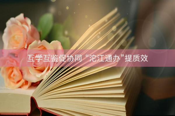 互学互鉴促协同 “沱江通办”提质效